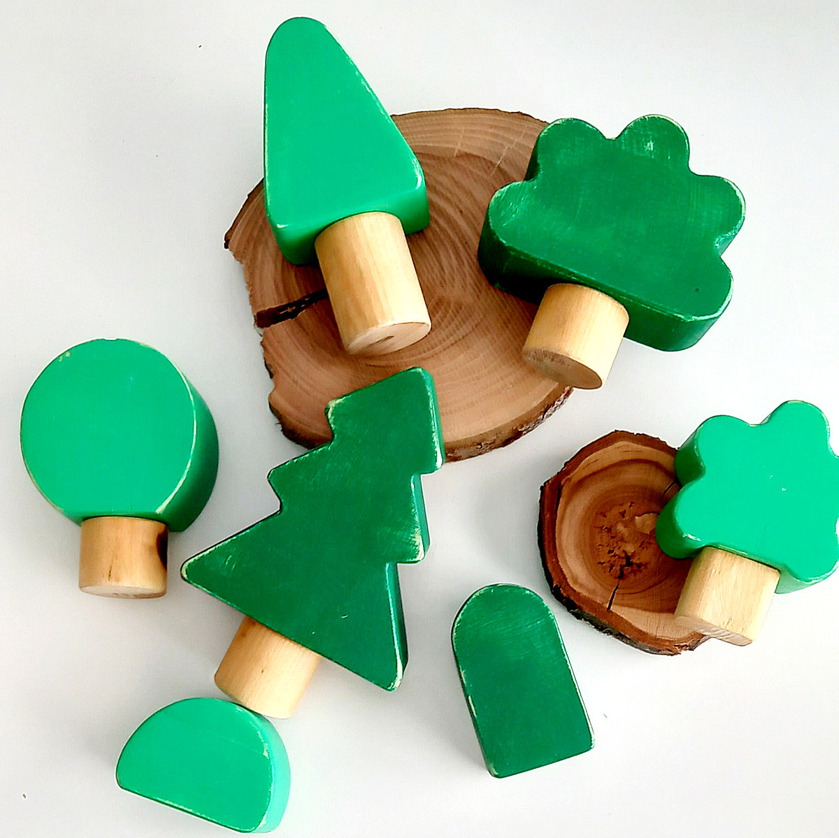 favorite forest - Image 3