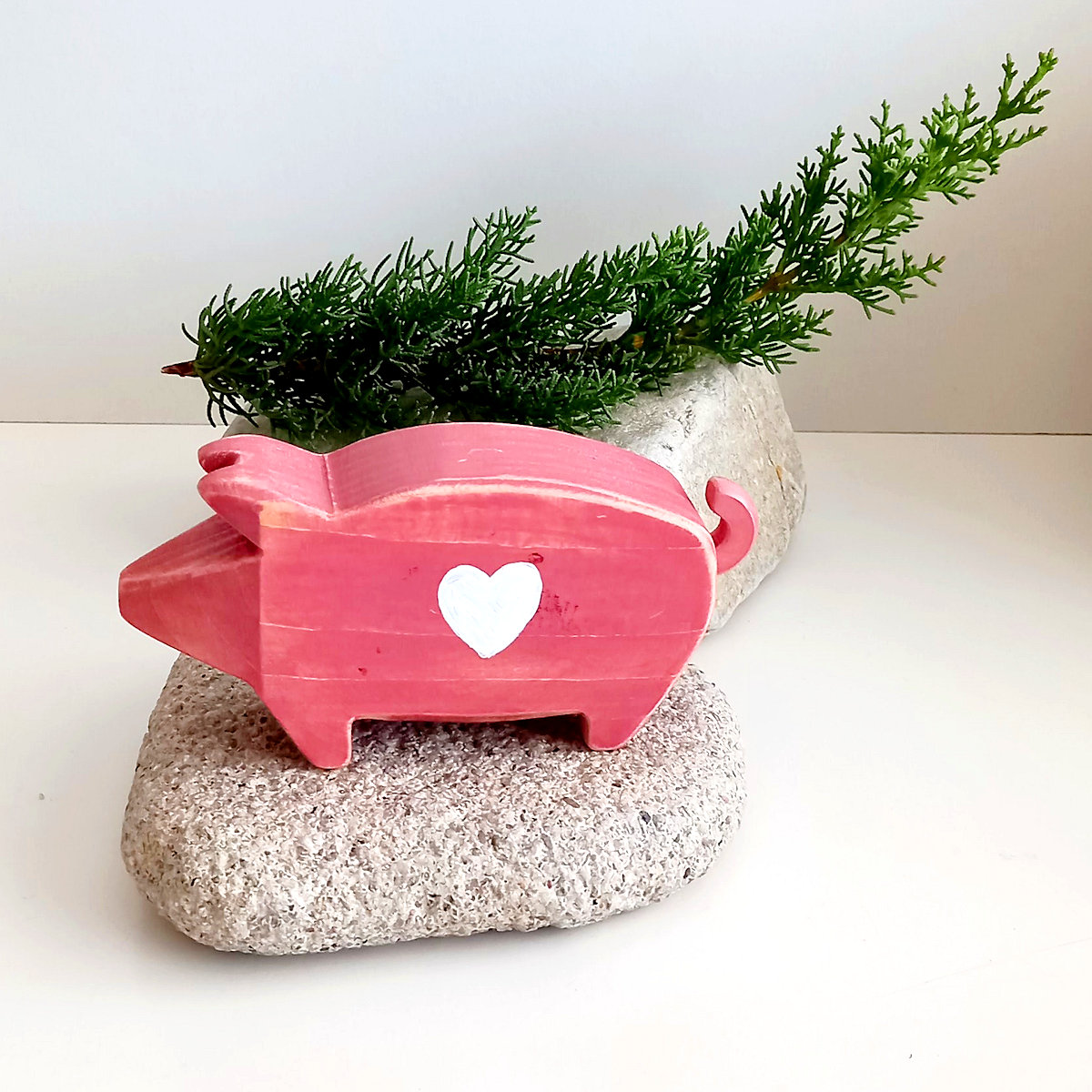 pig - Image 2