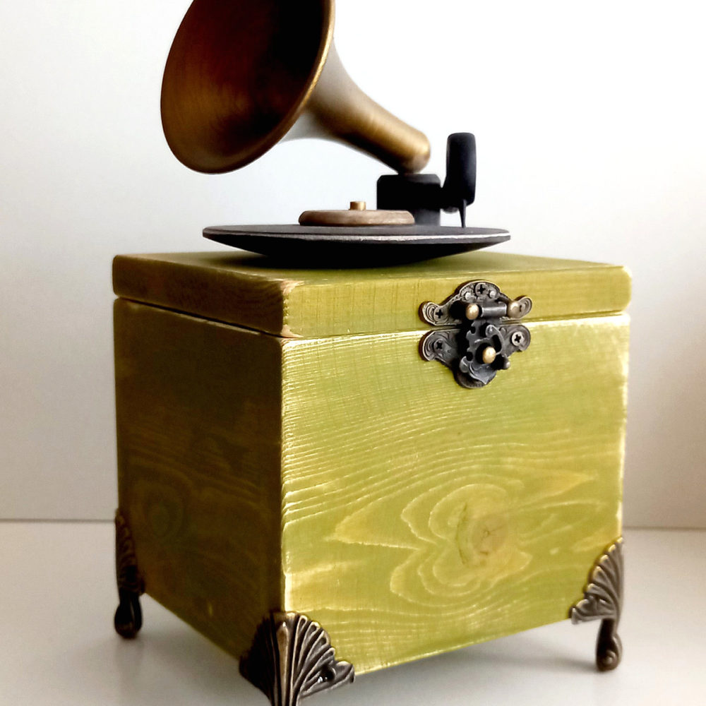 gramophone storage box